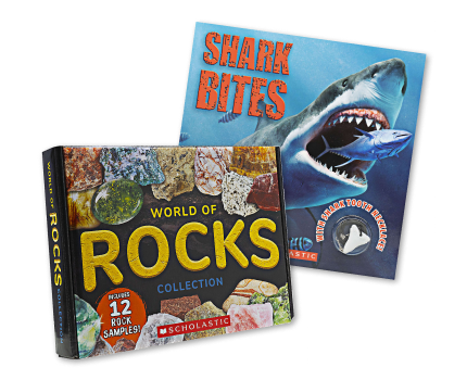 SUM-Coolest real-world facts Image